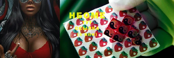 шишки Надым