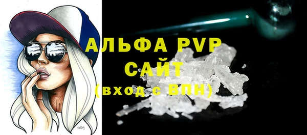 индика Володарск
