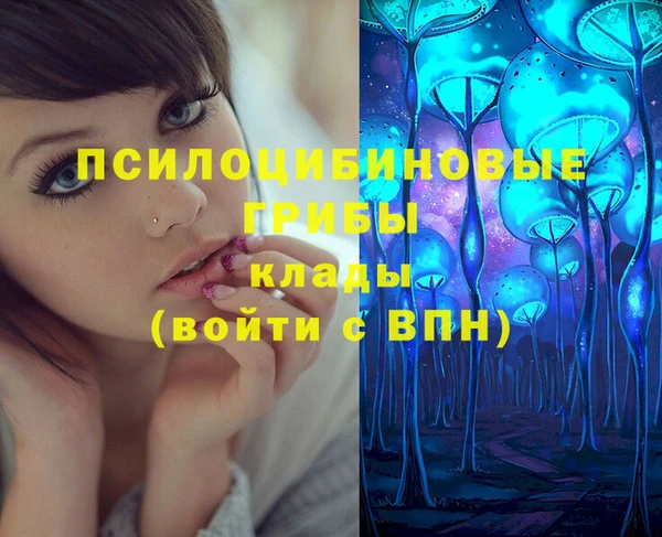 МДПВ Навашино