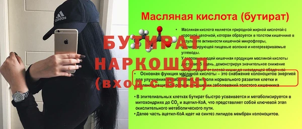 шишки Надым