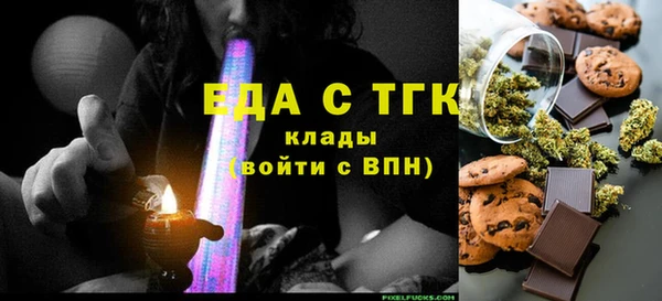 шишки Надым