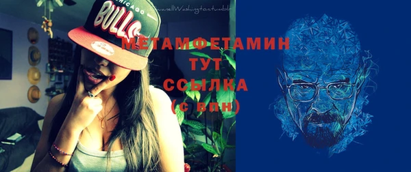 шишки Надым